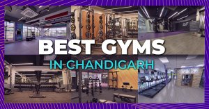 Gyms in Chandigarh featured image