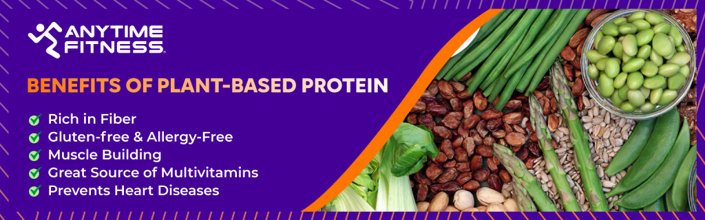 Benefits of Plant-based Protein banner image