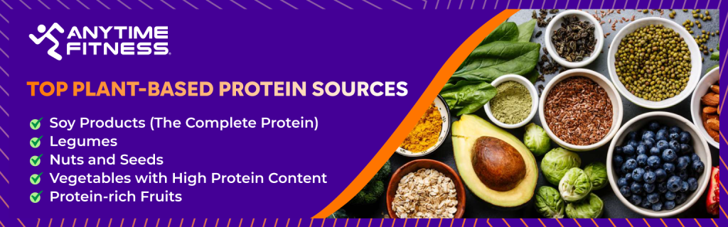 Top Plant-Based Protein Sources banner image