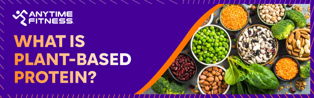 What is Plant-based Protein banner image